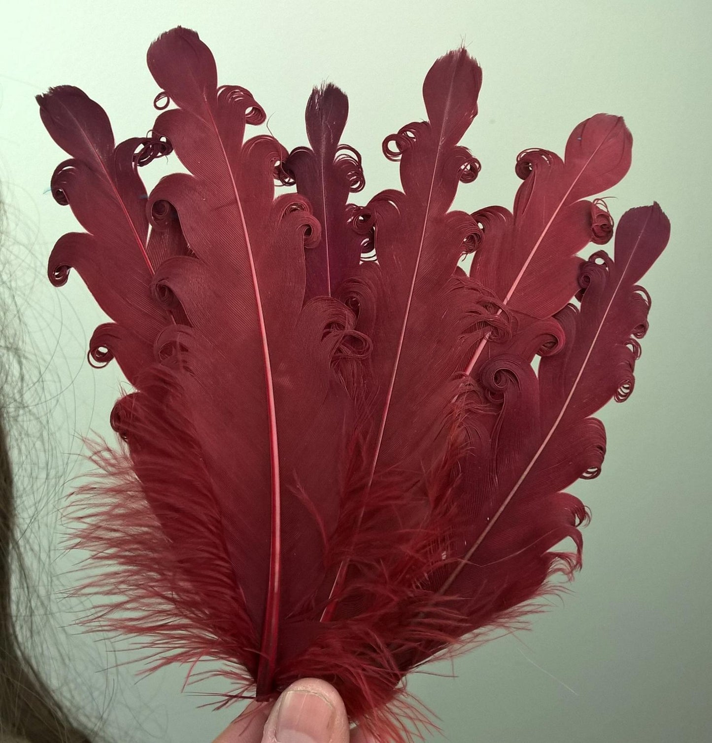dark red feather fascinator millinery hair clip wedding piece ascot race dance