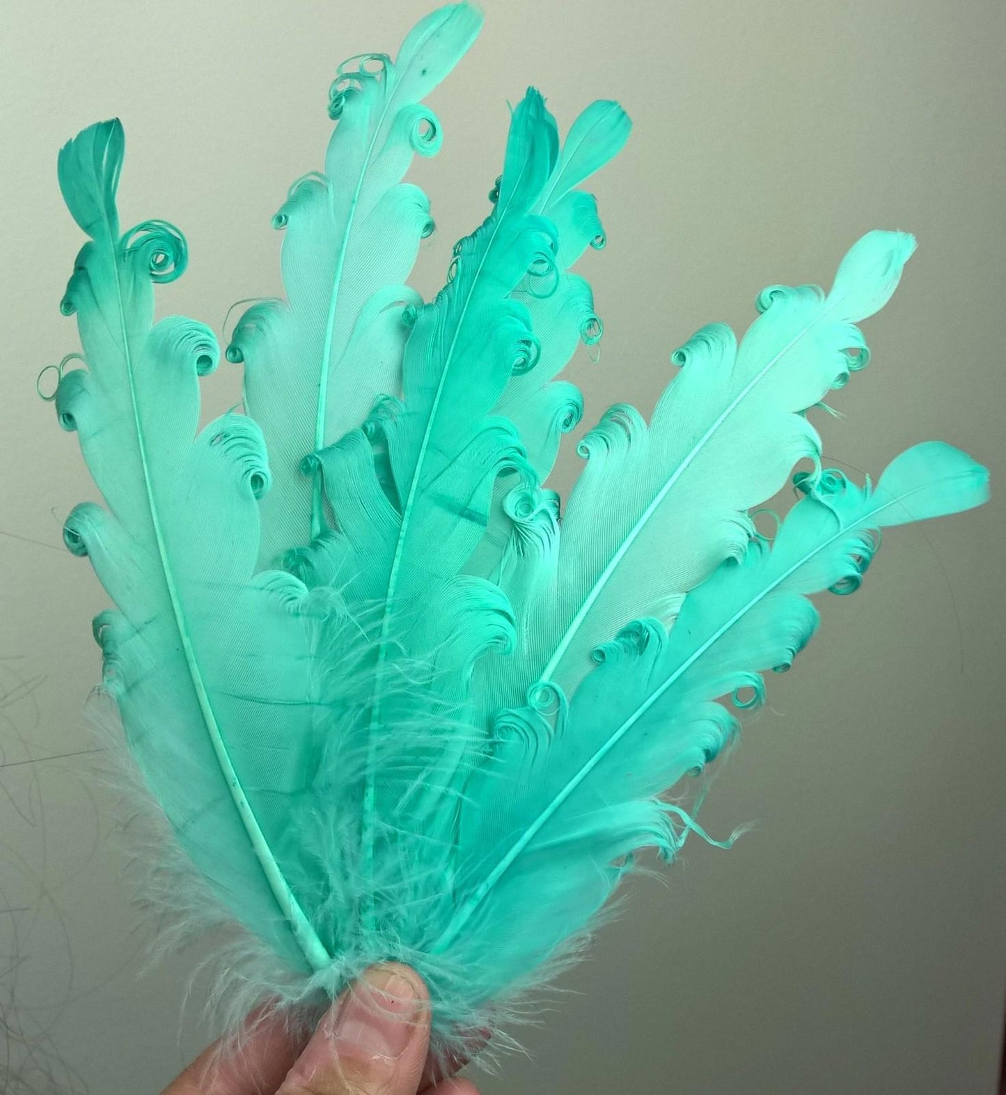 turqouise feather fascinator millinery hair clip wedding piece ascot race dance
