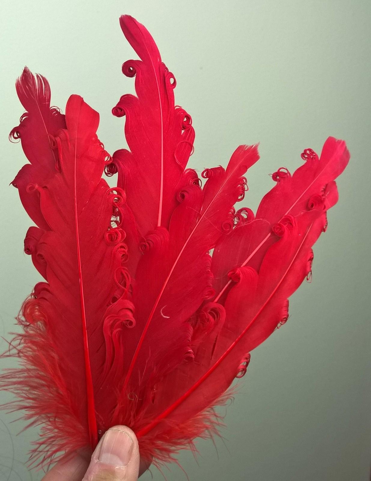 red feather fascinator millinery hair clip wedding piece ascot race dance