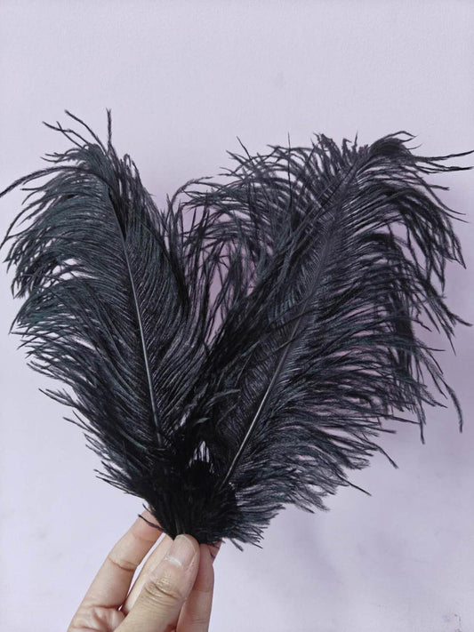 black ostrich feather hair clip fascinator fancy dress costume dance party