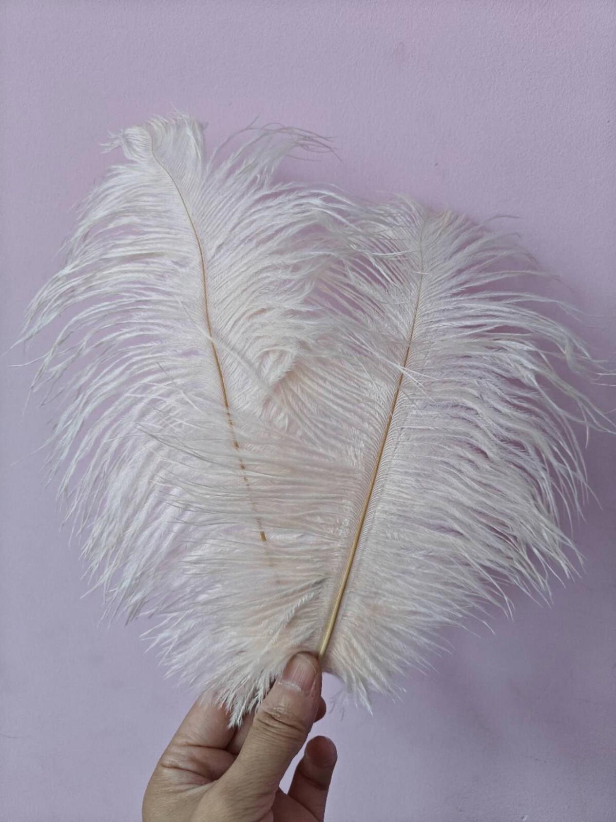 cream ostrich feather hair clip grip fascinator fancy dress costume dance party