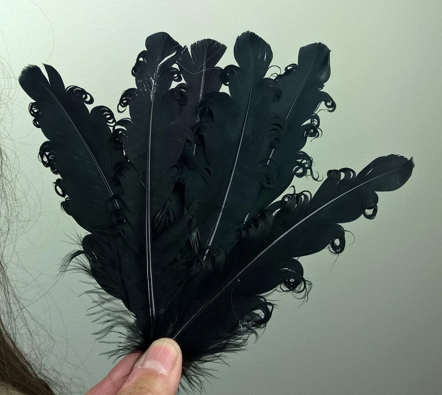 black feather fascinator millinery hair clip wedding piece ascot race dance x